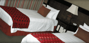 Quality Hotel Burke  Wills - Accommodation Mermaid Beach