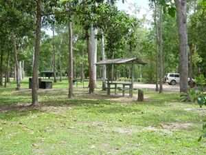 Broadwater camping area Abergowrie State Forest - Accommodation Mermaid Beach