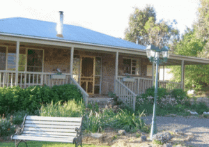 Buttercup Cottage  Apartment - Accommodation Mermaid Beach